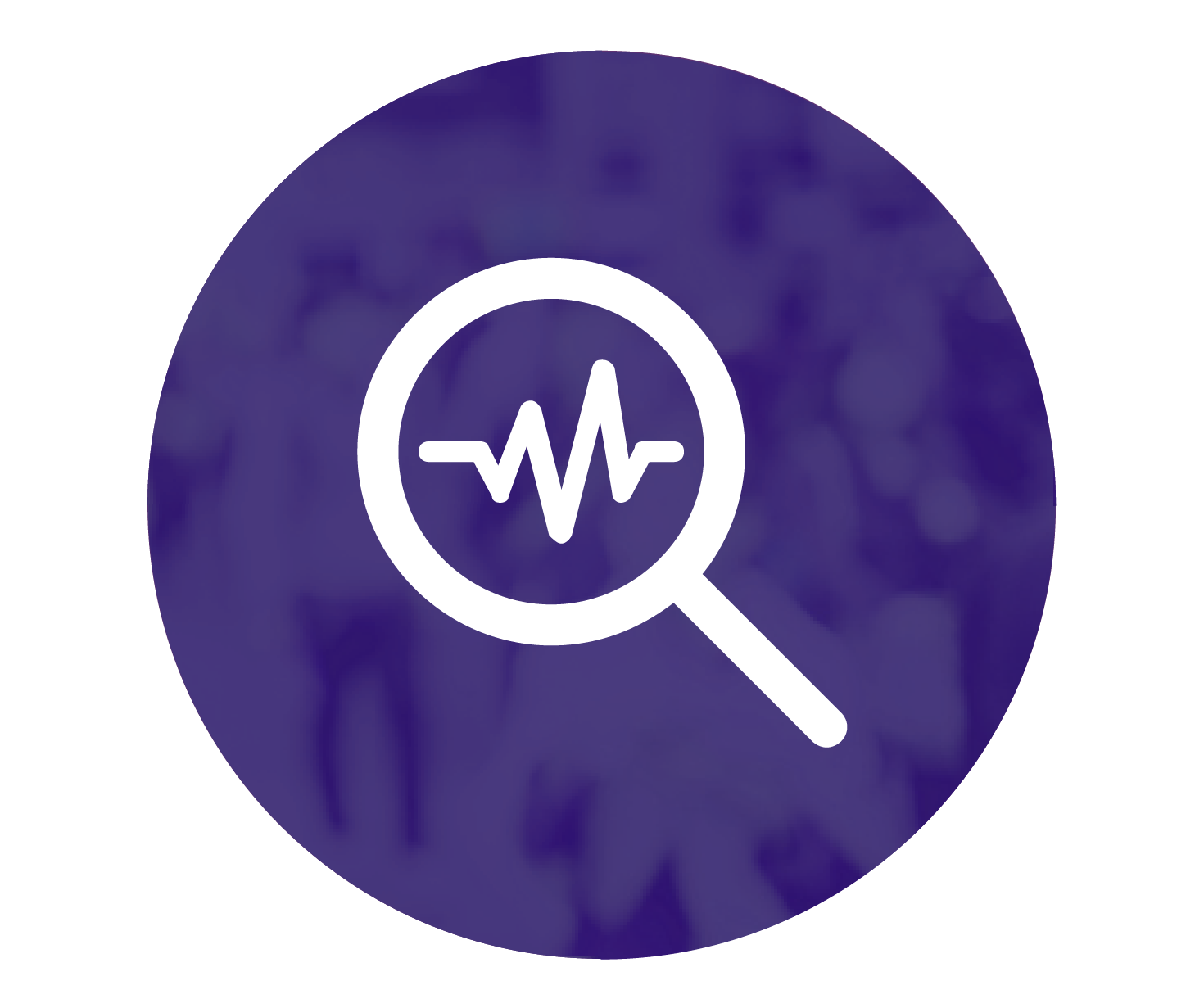 NNBW - Het Rijk in de regio